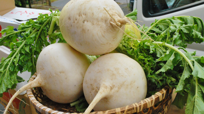 地場の希少な伝統野菜