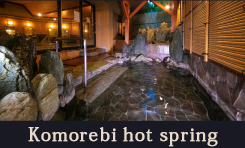 Komorebi hot spring