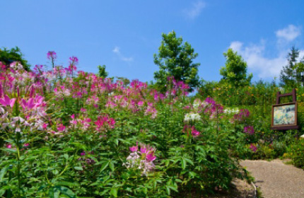 Garden Museum Hiei