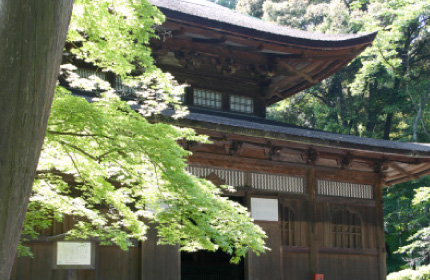 Miidera Temple 