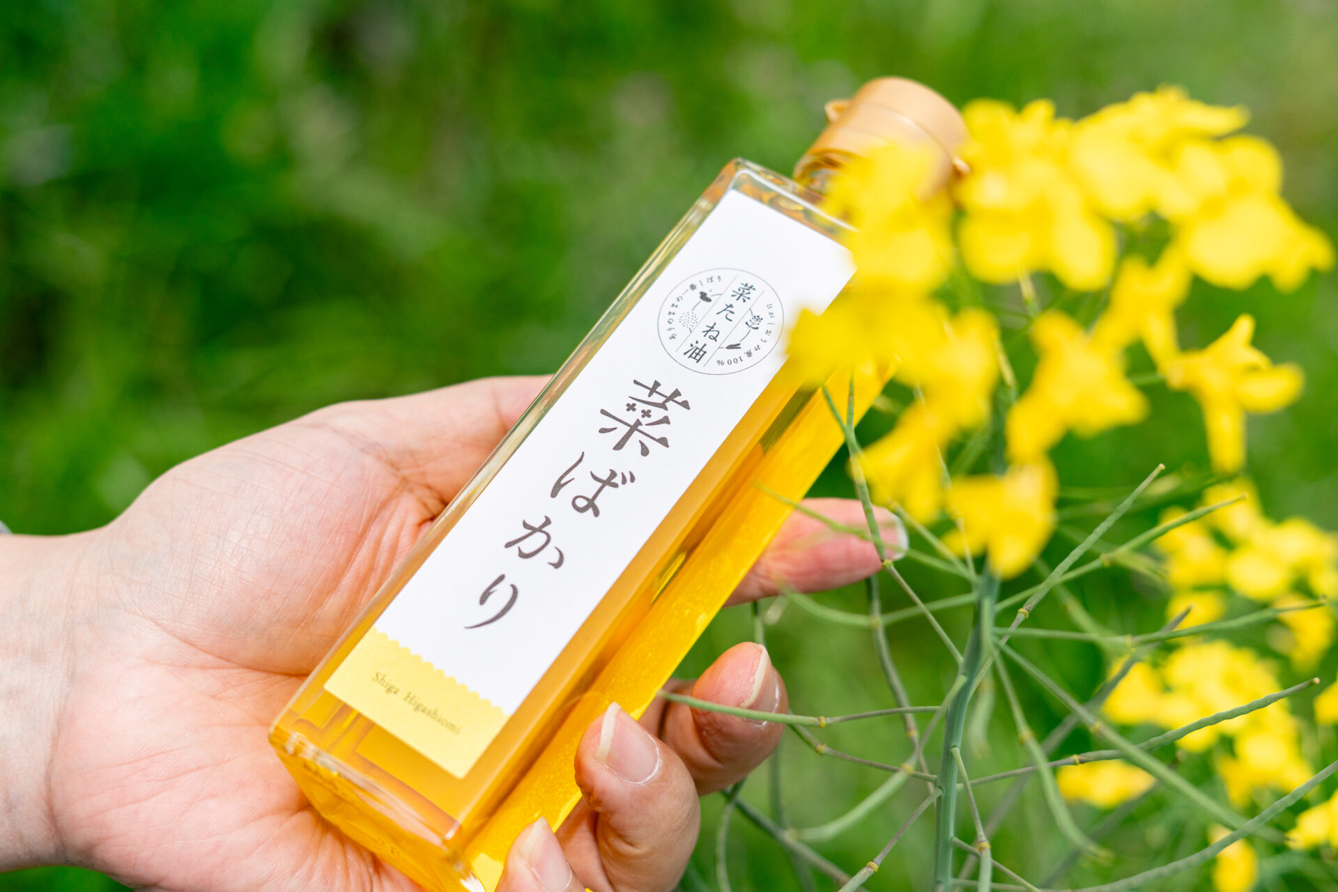 48 本気でオススメしたい菜たね油が東近江にある。生産の背景にある